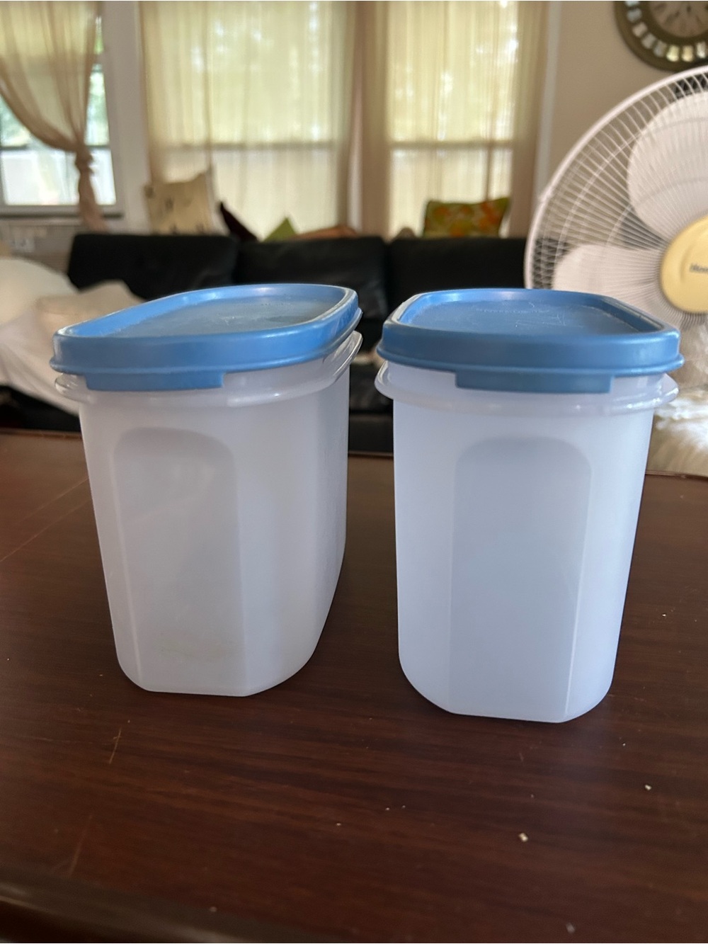 Vintage Tupperware Blue-Lid Food Storage Containers - Set of 2 5x3.5x7”
